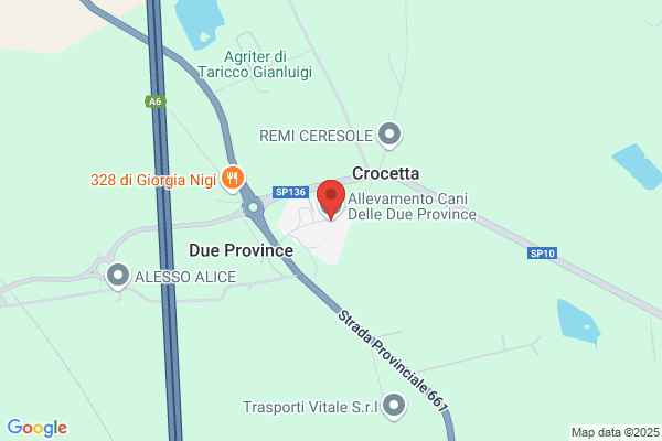 Allevamento Cani Delle Due Province