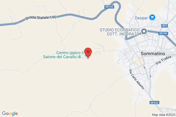 Il Salone del Cavallo