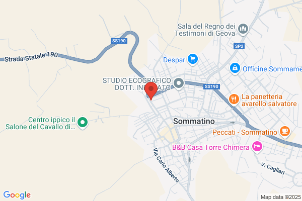 Fonte Carmelo (Dr. Proc.)