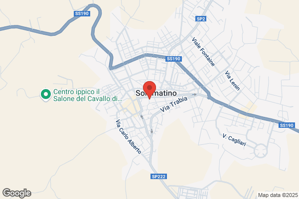 Lo Iacono luigina