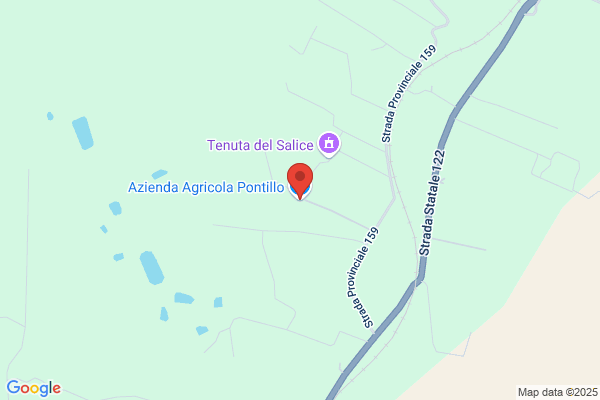 Pontillo tino