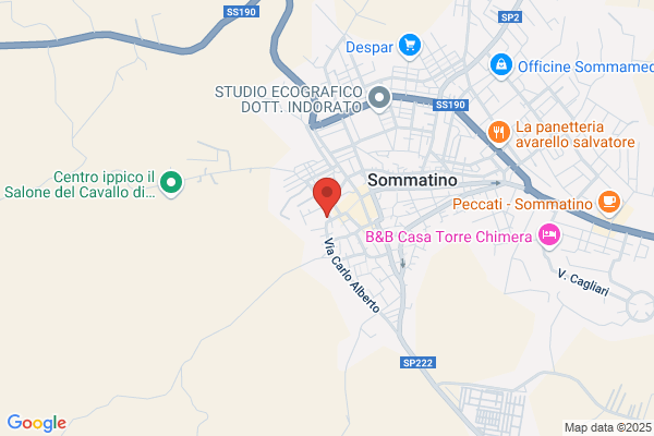 Volpe michelangelo
