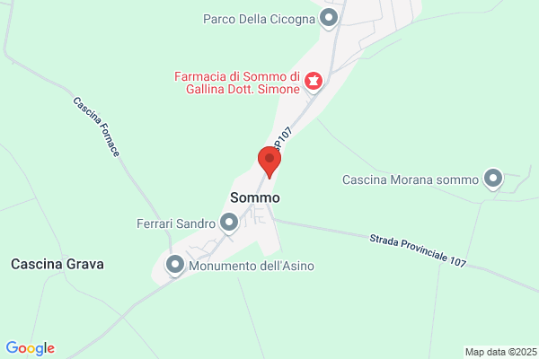 Municipio