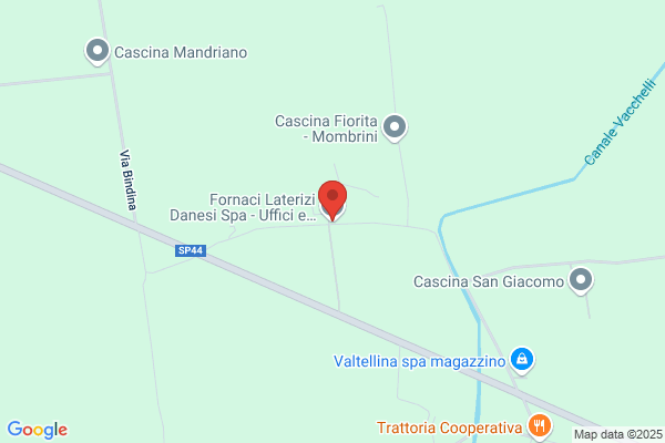 Salini dario