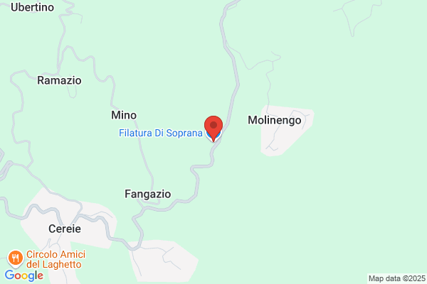 Lora Lamia fulvio (P.I.)