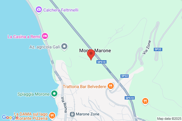 Marone elvio