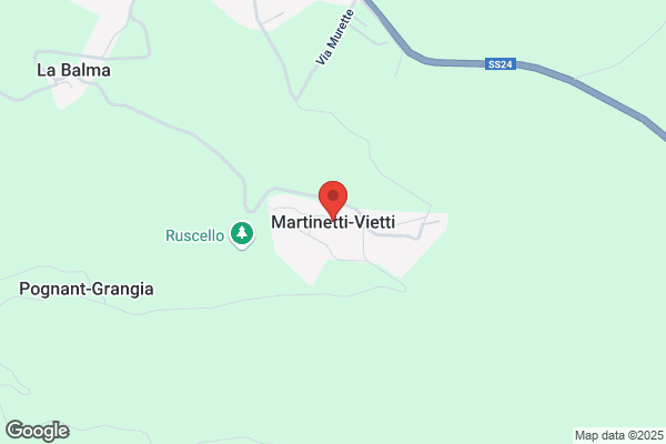 Martinetti daniela