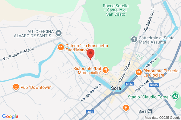 Perna cesidio (Dr.)