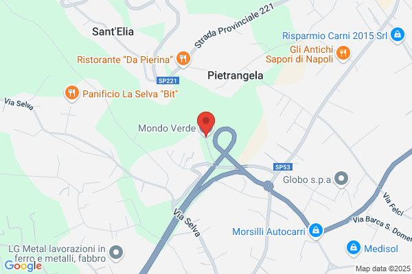 Mondo Verde