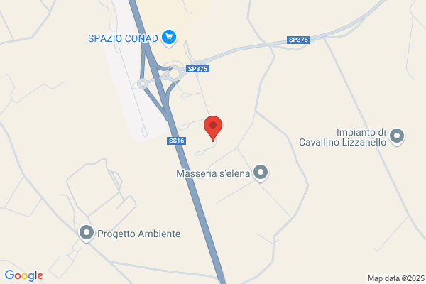 Stilcarta Srl