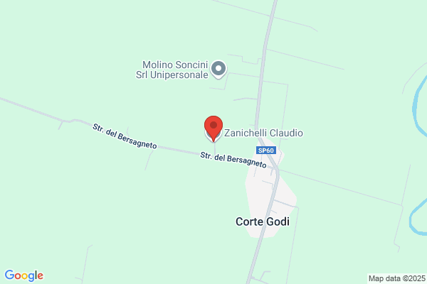 Zanichelli gianni (Geom.)