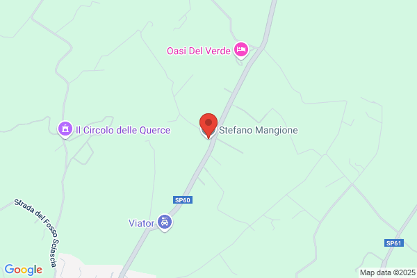 Martinelli stefano