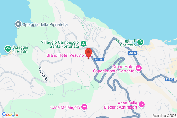 Grand Hotel Vesuvio