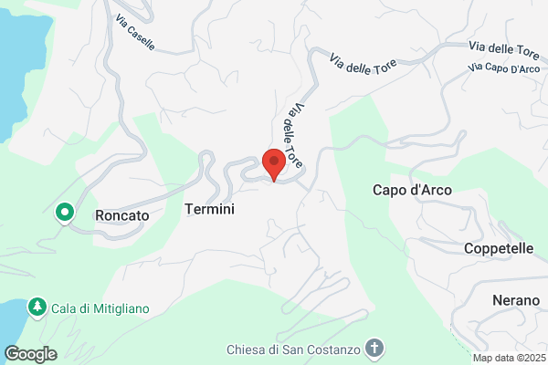 La Mimosa Di Cacace Anna Maria
