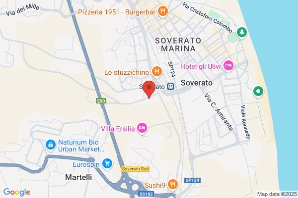 Lo Giudice pasquale
