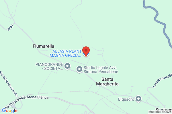 Allasia Plant Magna Grecia