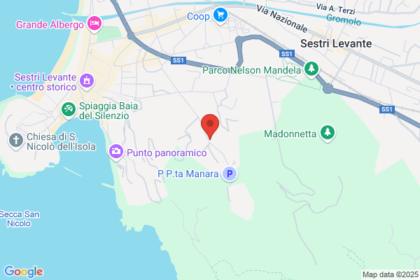 Olivieri Trasporti Srl