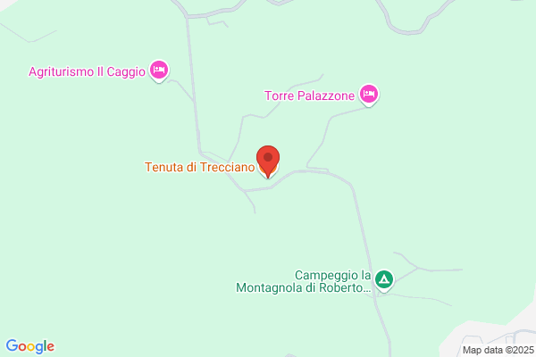 Trecciano S.R.L.