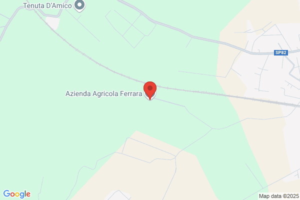 Ferrara Luciano