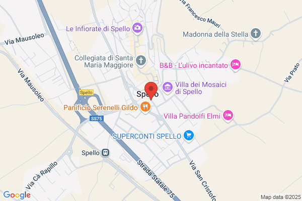 Tizio E Caio Di Geninatti M. E Cocci M.(S.N.C.)