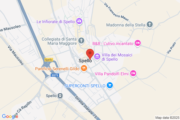 Renzini claudio