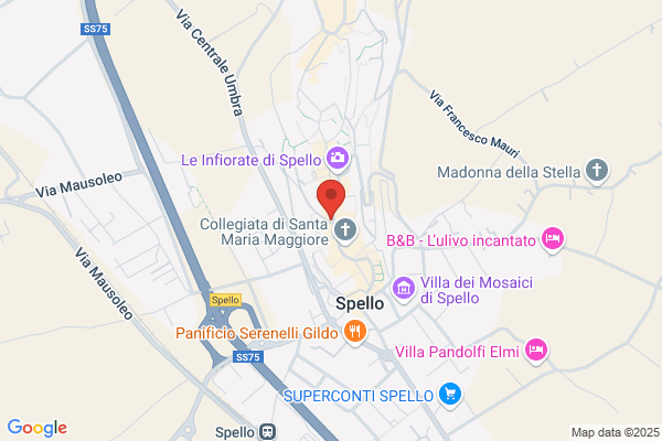 Hotel Palazzo Bocci (S.R.L.)