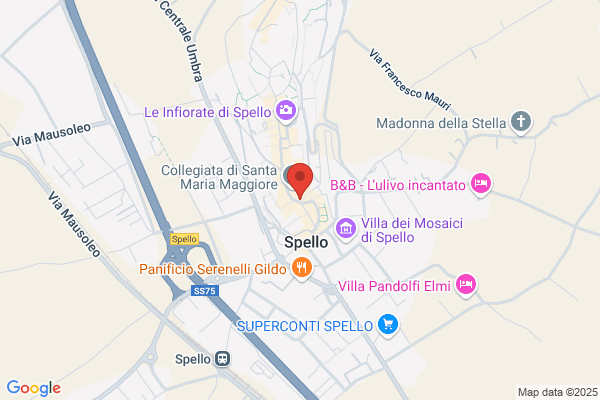 Marchionni elvio