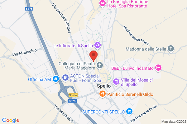 Officina Felicioni Stefano