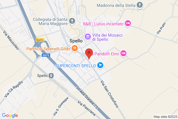 Scaro Barberia