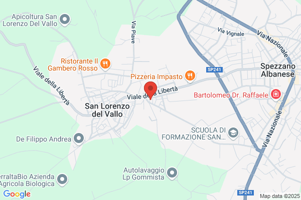 San Lorenzo Trasporti