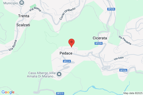 Pisano vincenza