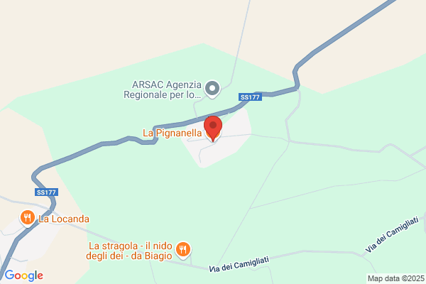 Ristorante La Pignanella