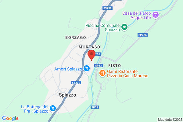 Salone Silvana