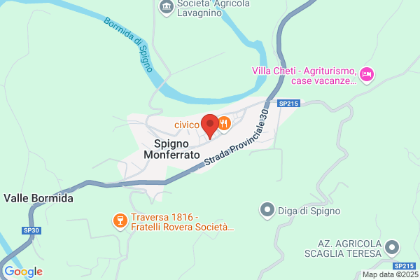 Pangolino maria Grazia