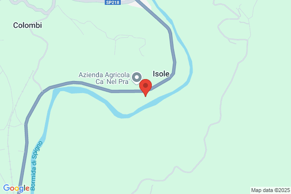 S2 Motor Sport