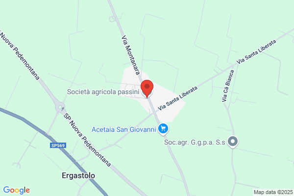Pedroni arnaldo