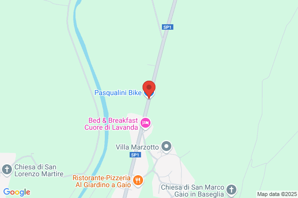 Pasqualini elvira