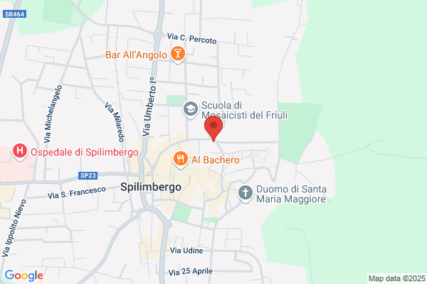 Bic Friuli Venezia Giulia S.P.A.
