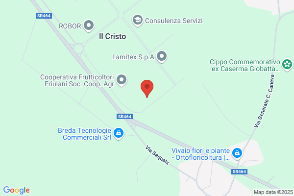 Merli enrico