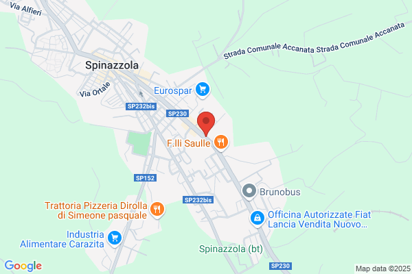 Viola F.Lli Sdf Autofficina