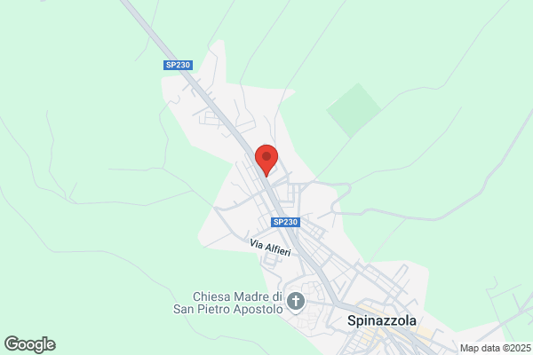 Zianni pietro
