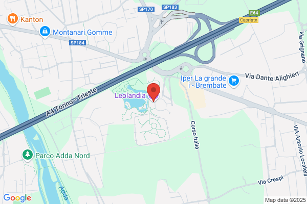 Giostra Leo