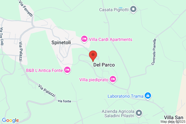 Narcisi piero