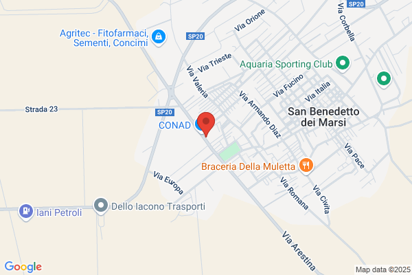 Palestra Azzurra Di Neroni. Castelletti E Forlini sdf