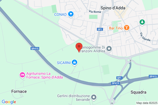 Leoni wanda