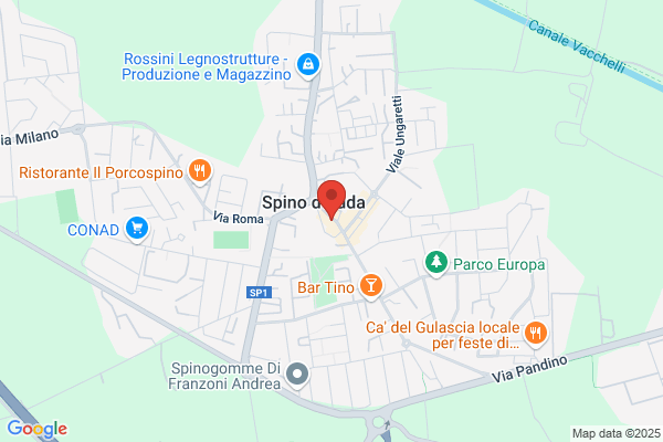 Lepore marco (Rag.)