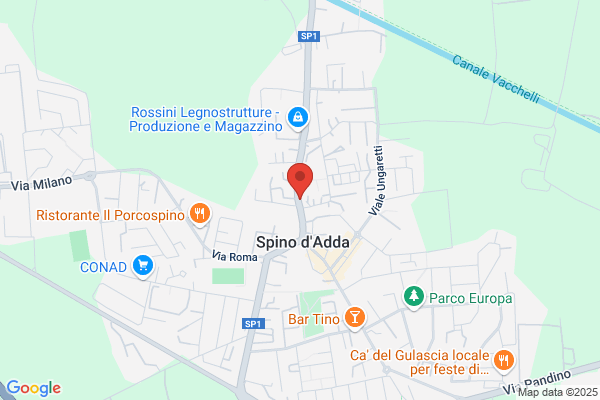 Rognoni antonio