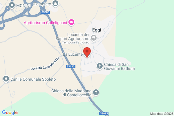 Lucentini gina