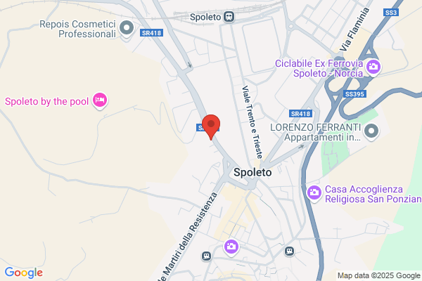 Spo Cart Di Mariani Alberto - Concessionaria buffetti