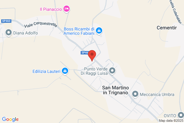 Parrocchia Di San Martino In Trignano